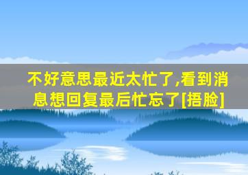 不好意思最近太忙了,看到消息想回复最后忙忘了[捂脸]